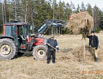 Уборка прошлогодней травы на Андриановском поле, май 2013