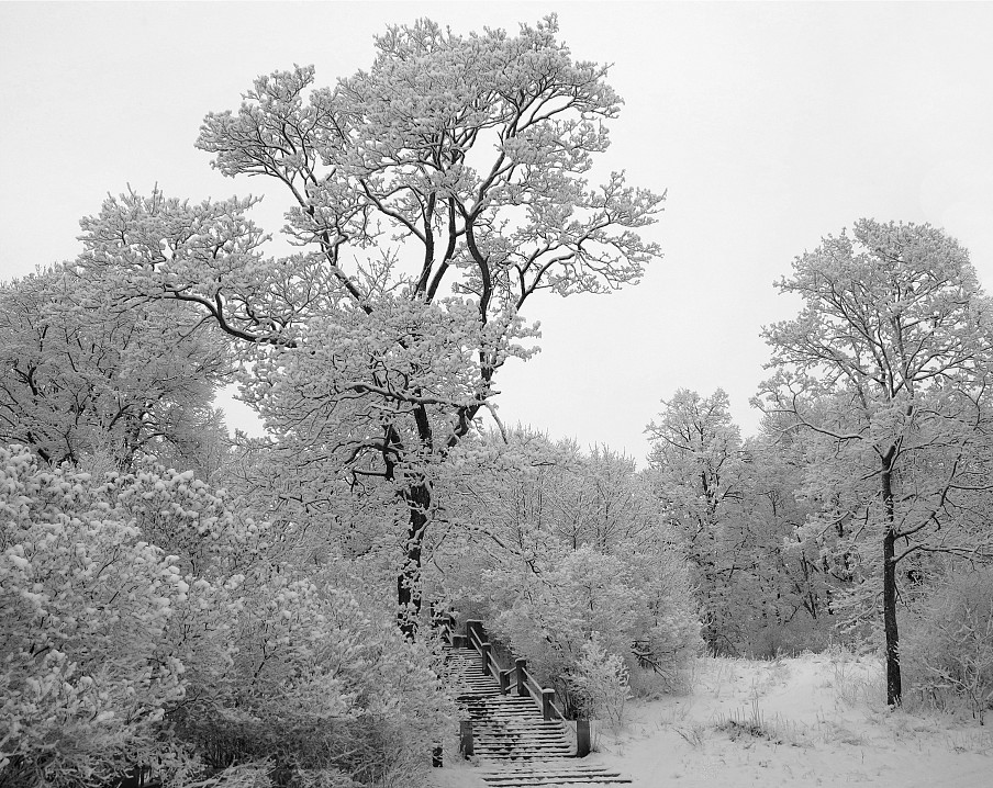 Фото монаха Авраама