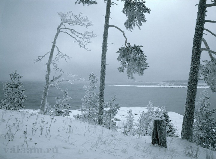 Зима
