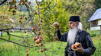 Иегумен Евмений О Наркомании И Гомосексуализме